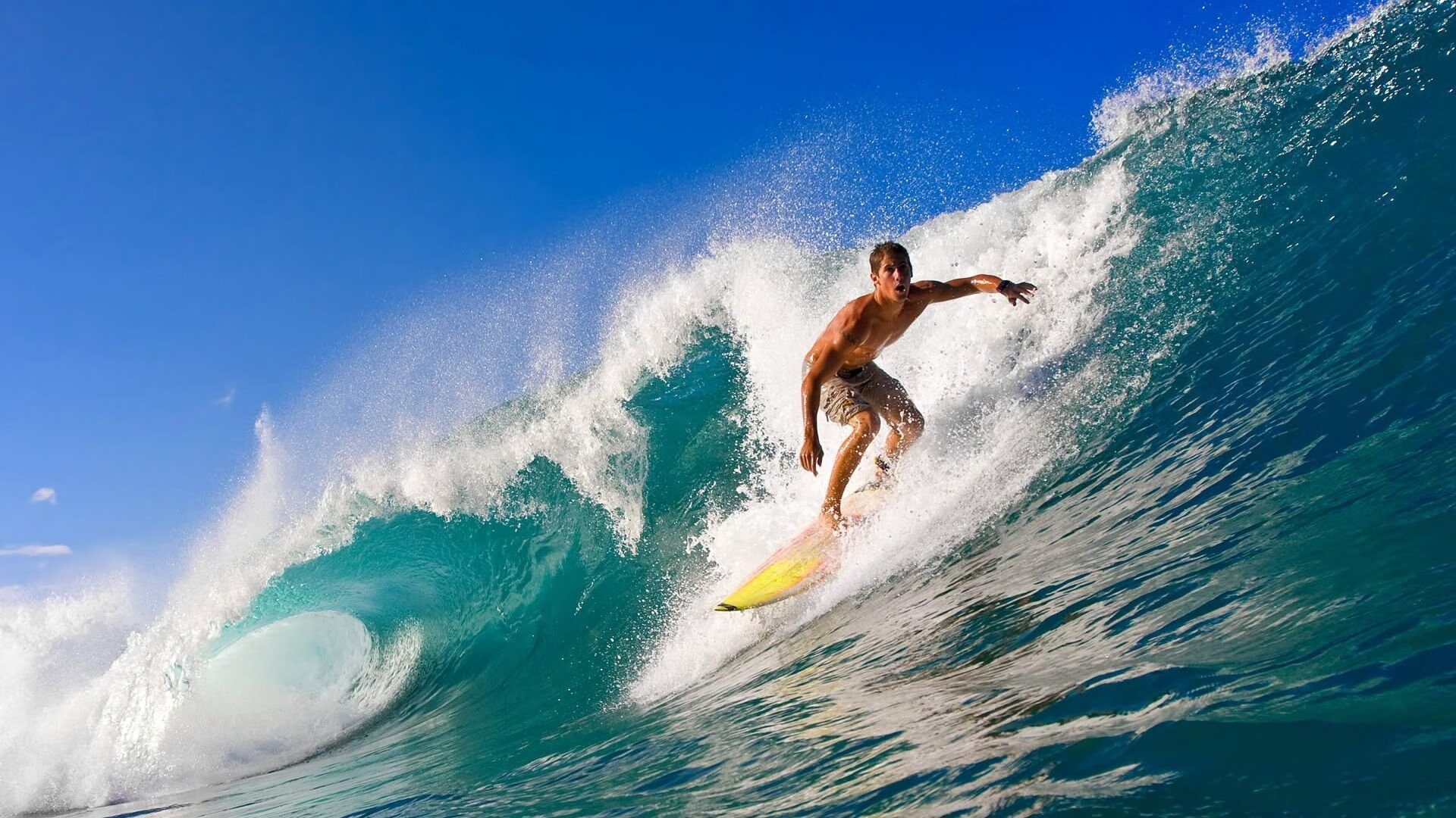 网球青少年培训项目启动仪式，网球青少年培训项目启动仪式视频