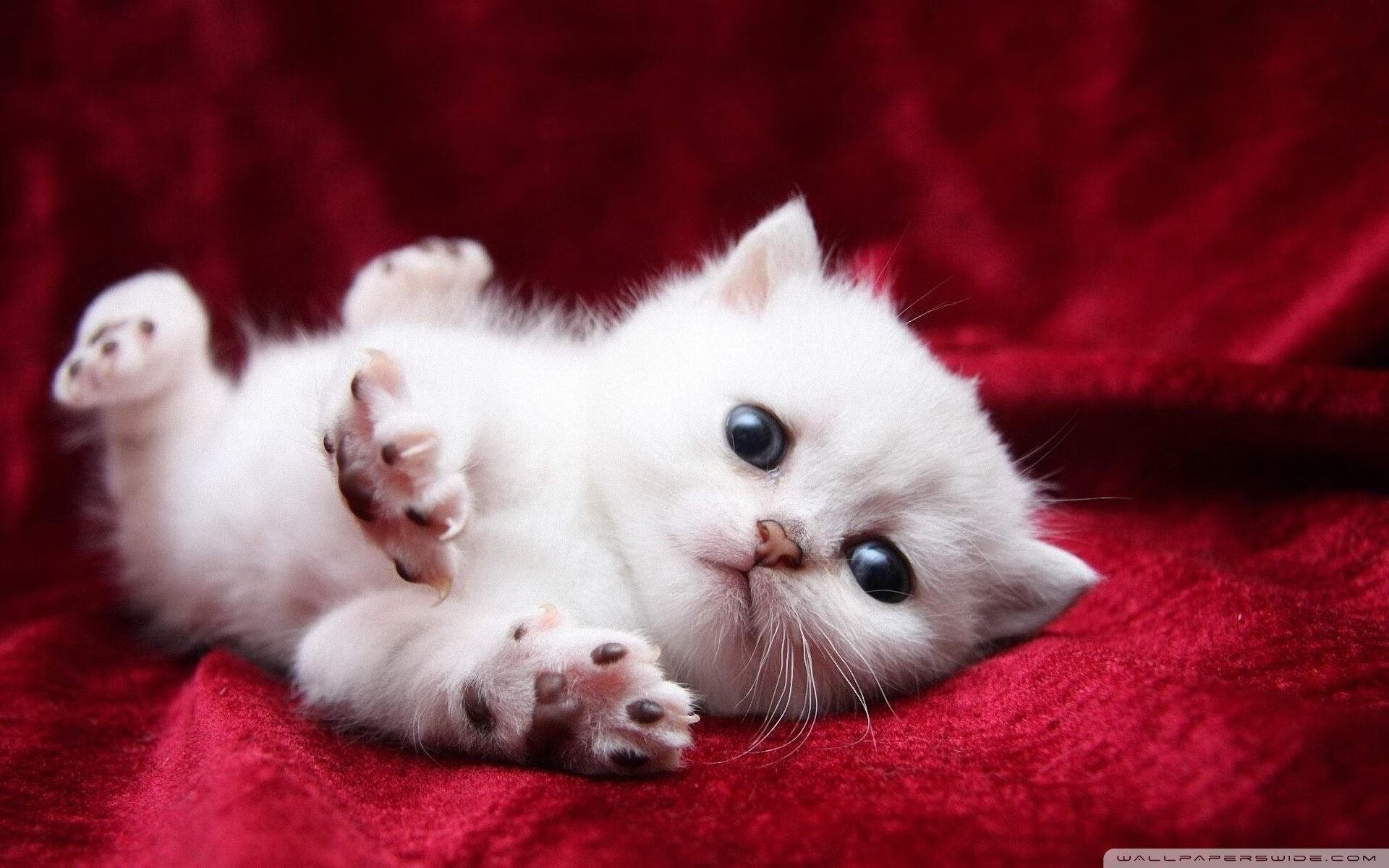 九游app官网下载-“德甲联赛：激烈角逐，冠军归属悬念依旧”，德甲联赛2021新赛程表