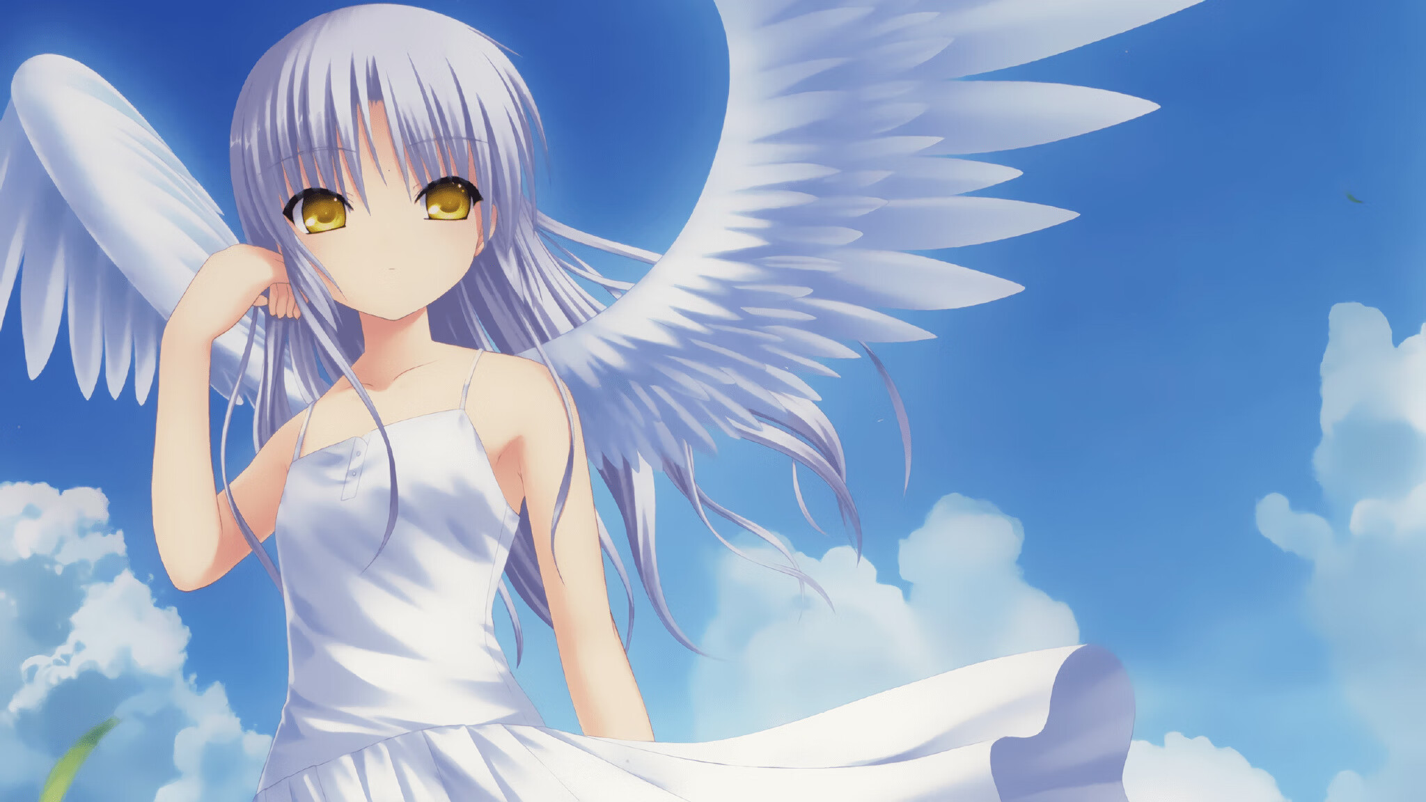 优质青训营地建设步伐加快，青少年培养“提档升级”，青少年训练营营规