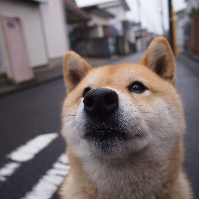 优质青训营地建设步伐加快，青少年培养“提档升级”，青少年训练营营规